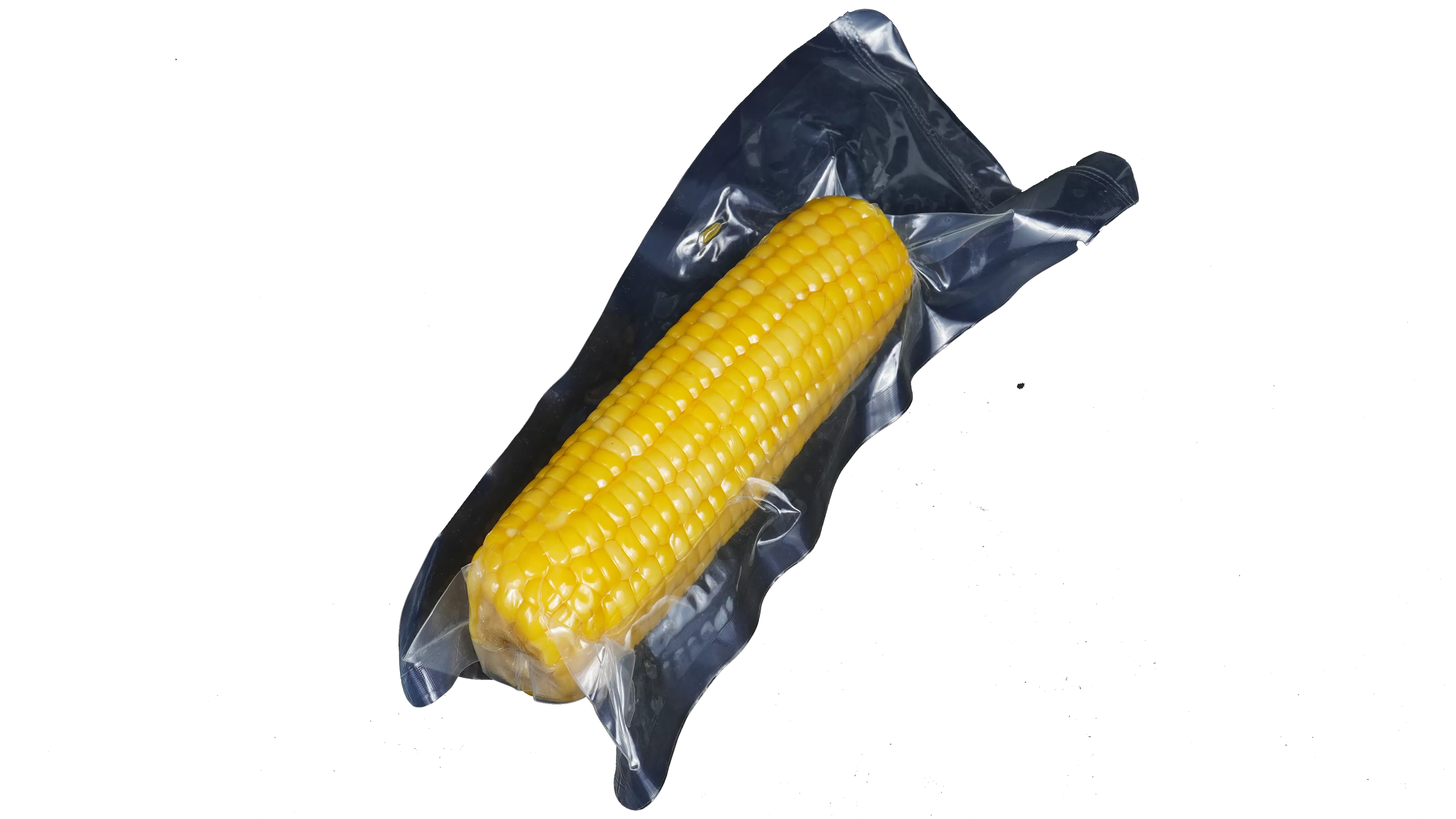 kantong vakum untuk makanan